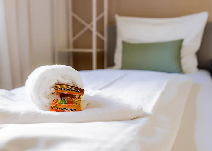 Come4stay Innstadtgarten Domblick Appartement Passau