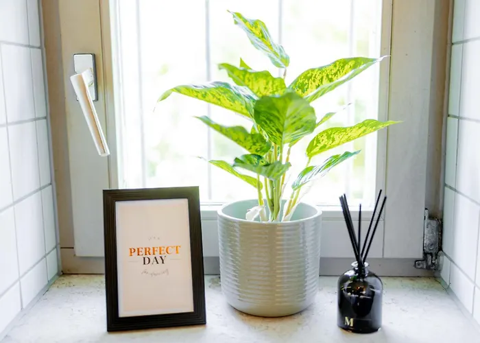 Come4stay Innstadtgarten Domblick Appartement Passau